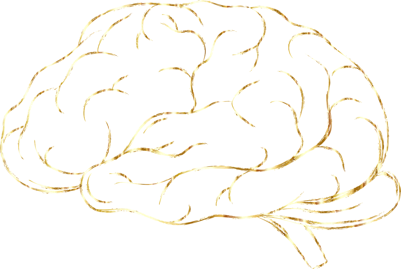 insitro Bolsters Machine-Learning Platform with Haystack Sciences Acquisition