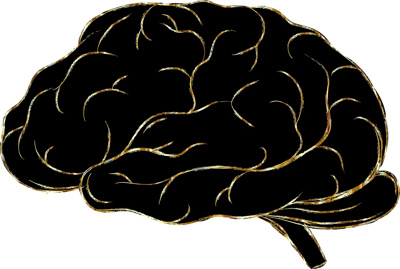 Mount Sinai Develop Machine Learning Models to Predict Critical Illness and Mortality in COVID-19 Patients –