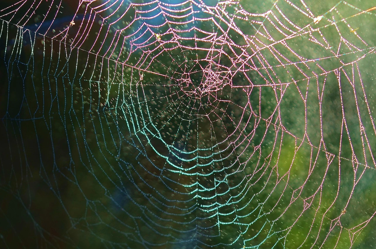 The Role of Artificial Intelligence in Web Development Process