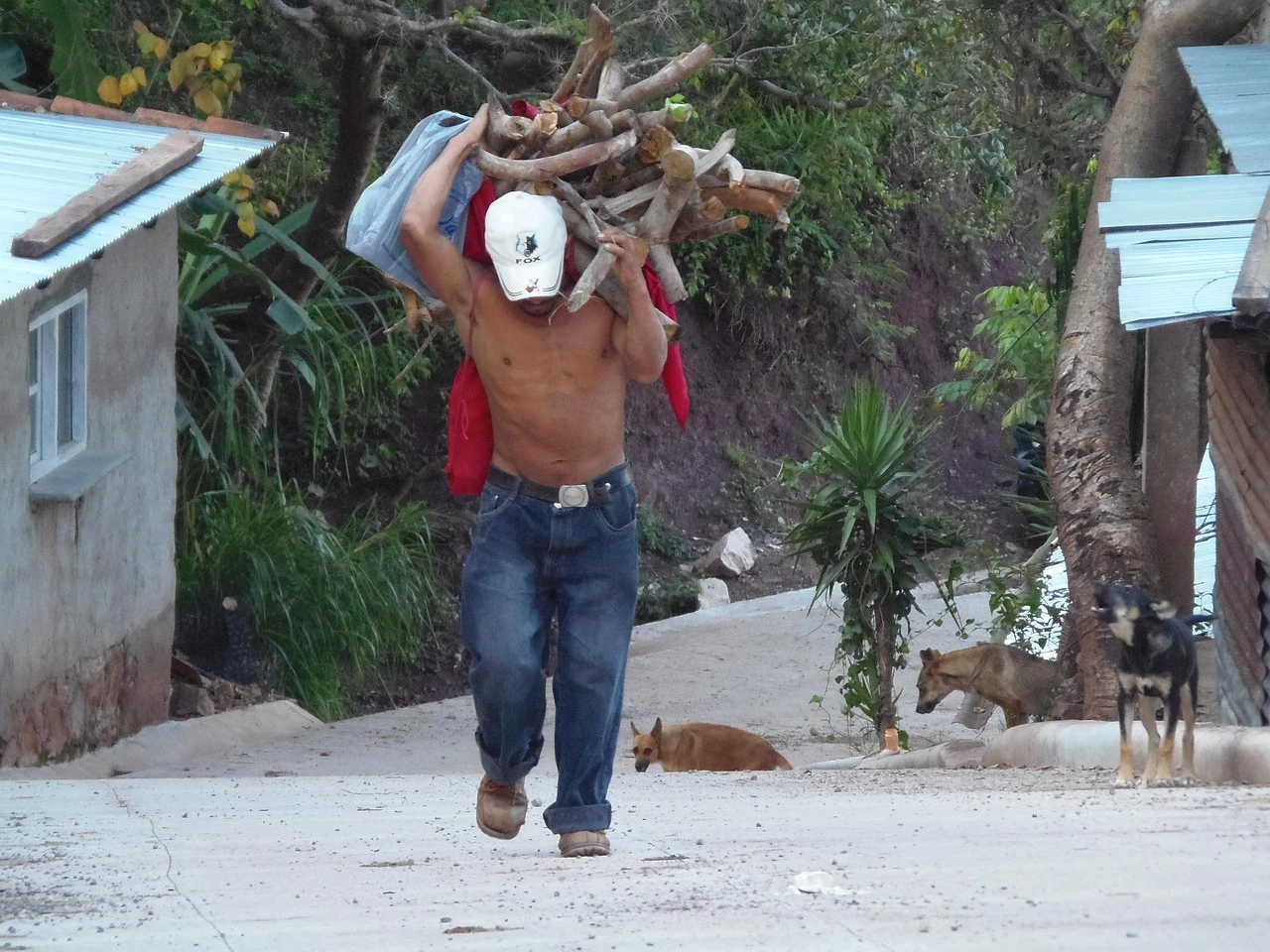 Photo of Domino’s employees working tirelessly during Texas storm win internet