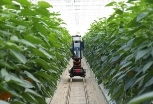 Consumer support of farmers grows as a result of COVID-19 challenges